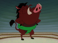 SSM Pumbaa6