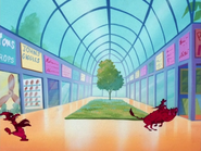 Shopping Timon Pumbaa & Irwin