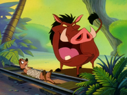 GWTW Timon & Pumbaa8