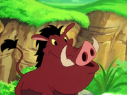 OTB Pumbaa9