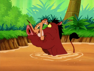 TFTZ Timon & Pumbaa30