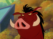 BN Pumbaa7