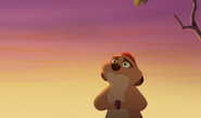 Lionking3-disneyscreencaps.com-1667