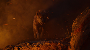 Lionking2019-animationscreencaps.com-12398