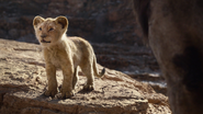 Lionking2019-animationscreencaps.com-4433