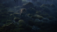 Lionking2019-animationscreencaps.com-9898