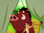 TFTZ Timon & Pumbaa23