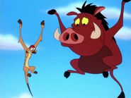 TFTZ Timon & Pumbaa47