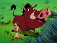 TSIC Timon & Pumbaa21