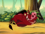 BGD Timon & Pumbaa2