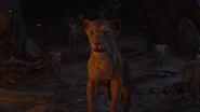 Lionking2019-animationscreencaps.com-11593