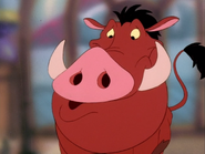 SC Pumbaa9