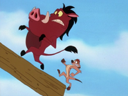 TKB Timon & Pumbaa21