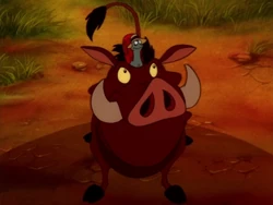 Speedy the Snail and Pumbaa try to rescue Timon.