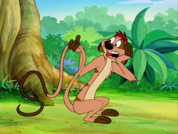 Timoncchio Timon13