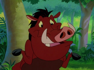 UIL Pumbaa8