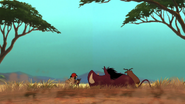 Lion-king2-disneyscreencaps.com-3612