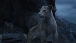 Lionking2019-animationscreencaps