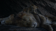 Lionking2019-animationscreencaps.com-1207