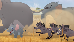 Chungu and his clanmates attack a herd of elephants.