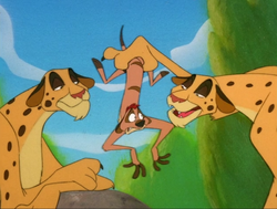 After overhearing Timon's true plan, the cheetahs make him give them his wallet so that he will return with Pumbaa.