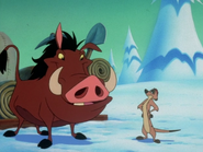 KC Timon & Pumbaa18