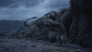 Lionking2019-animationscreencaps.com-11121