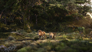 Lionking2019-animationscreencaps.com-9309