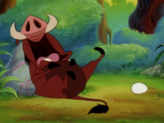 NE Pumbaa