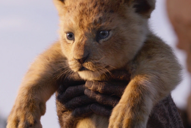 The 'lion king' shows his cub who's boss - CGTN