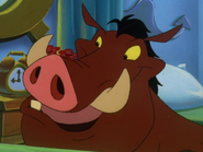 FA Pumbaa7