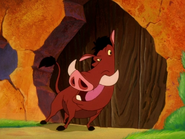 GWTW Pumbaa8