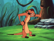 MAY Timon2