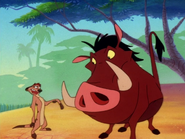 COLT Timon & Pumbaa9