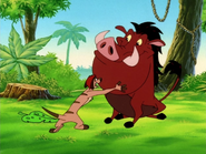 DCC Timon & Pumbaa30