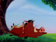 LSOOH Timon & Pumbaa