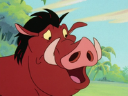 UBAE Pumbaa31