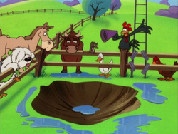 Rooster announces the Mr. Pig Contest.