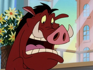 APAO Pumbaa8