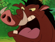 TTAKAH Pumbaa25