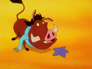 BB Pumbaa2