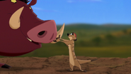 Lion-king2-disneyscreencaps.com-374