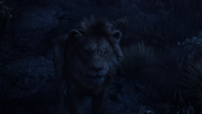 Lionking2019-animationscreencaps.com-10320