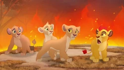 Kion, Kiara, Tiifu, and Zuri get trapped in a fire at the mudpots.