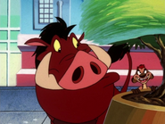 APAO Timon & Pumbaa13