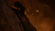 Lionking2019-animationscreencaps.com-12050