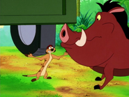 TFTZ Timon & Pumbaa26