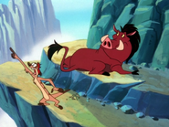 TKB Timon & Pumbaa19