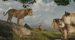 Mufasa-animationscreencaps.com-4377