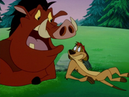 BL Timon & Pumbaa35